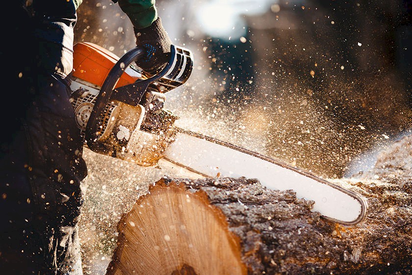 Arbeitssicherheit GaLaBau: Person schneidet mit Motorsäge einen Stamm
